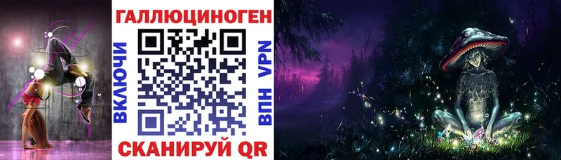 Галлюциногенные грибы Psilocybine cubensis  Динская 
